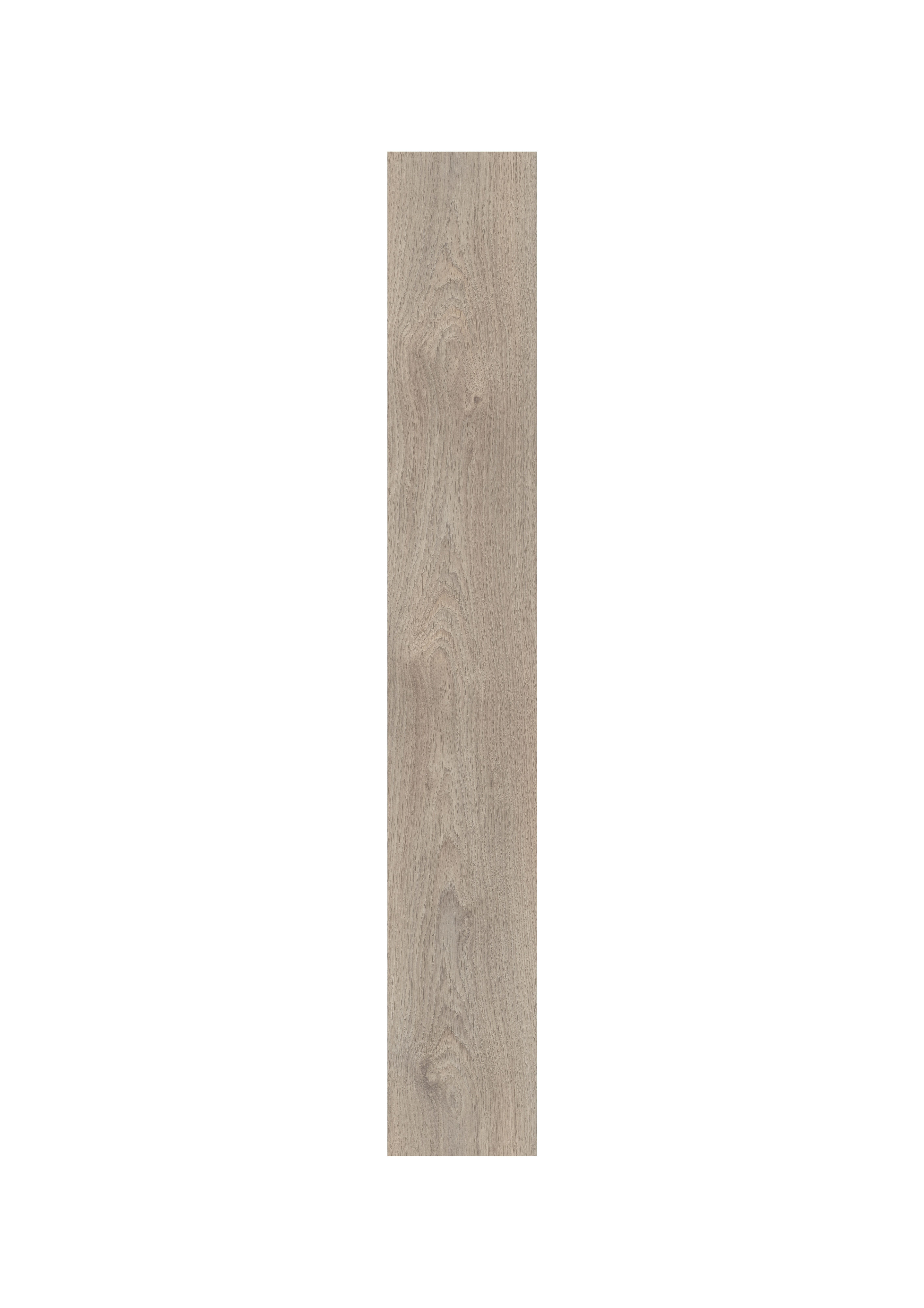 EGGER Laminat EGGER Basic Laminatboden EBL020 Belfort Eiche silber, (7mm, 2,494m),Praktisch & wertbeständig